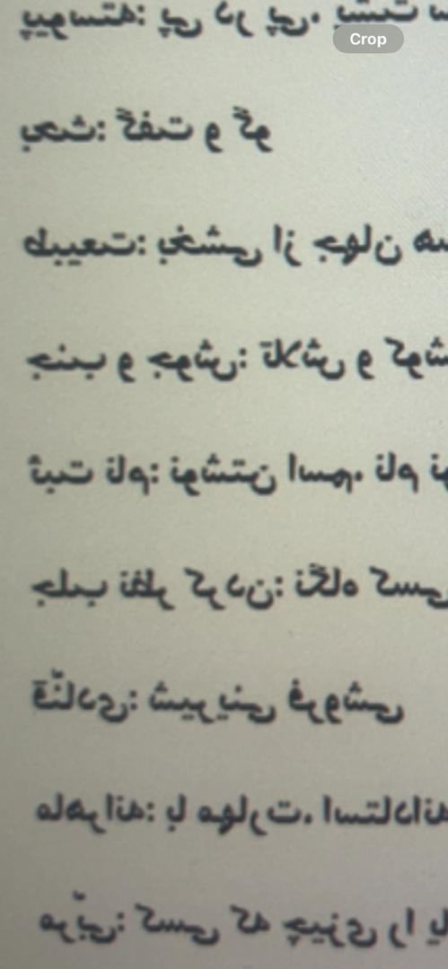 حالت آینه یا mirror در بیگ بلو باتن چرا تصویر برعکسه